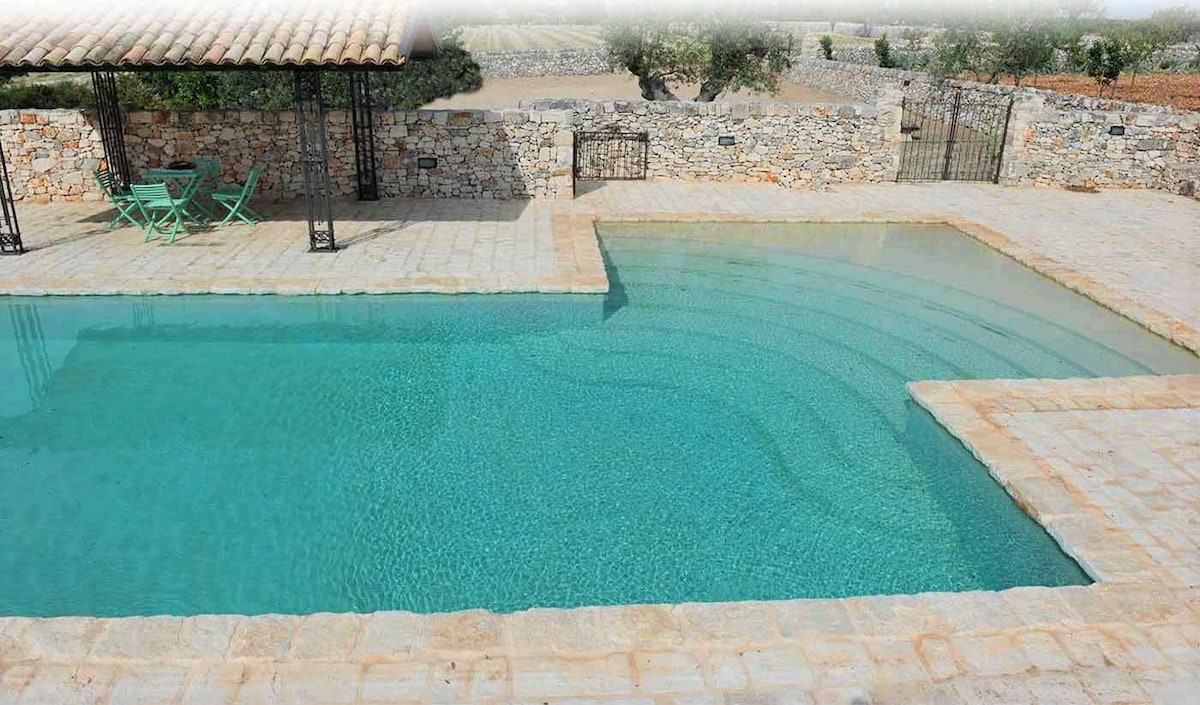 A clear swimming pool is framed by stone paving and walls. The pool features gentle steps leading into the water. In the background, an outdoor area with a covered seating space is visible, surrounded by open fields and greenery.