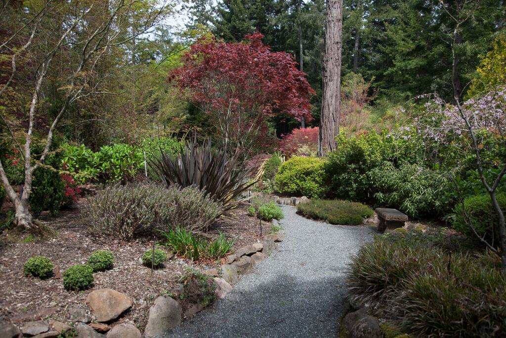 Pathway through the property