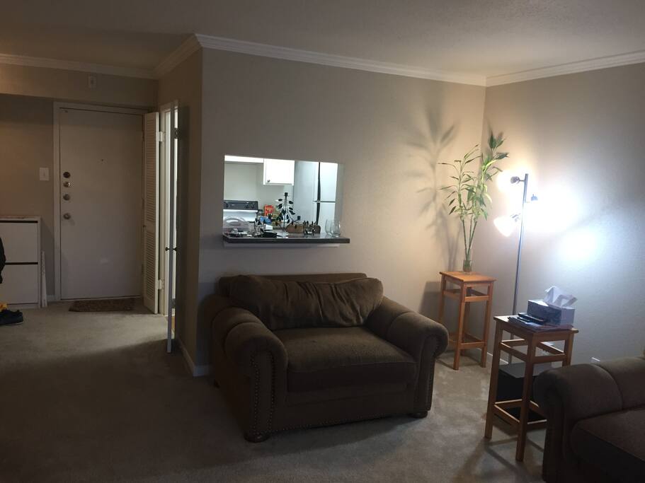 Living room, Kitchen, Main door