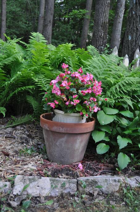 Beautiful Woodland Gardens