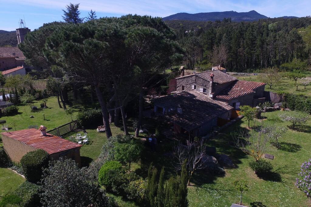 aeriel view garden
