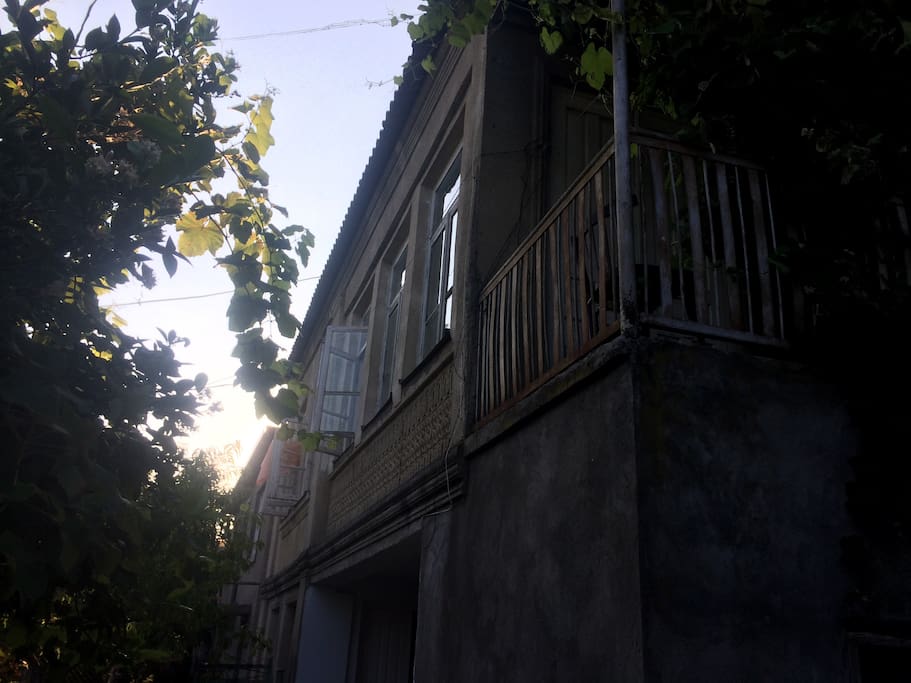 House view