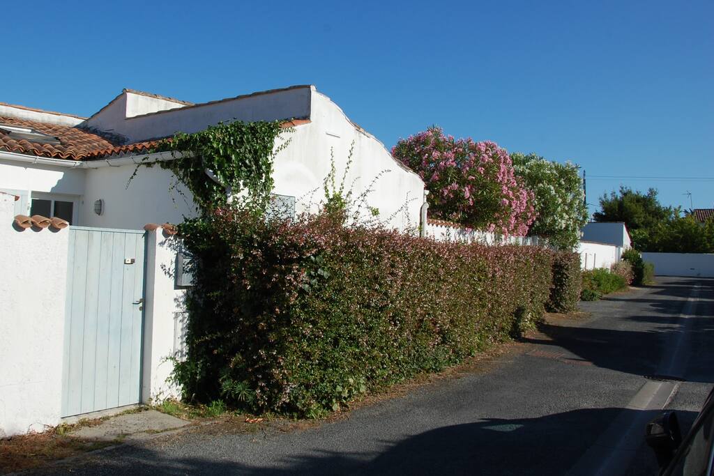 Entrée n°2