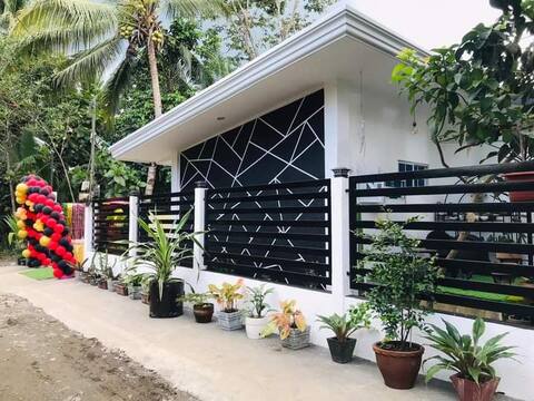 ella's transient house