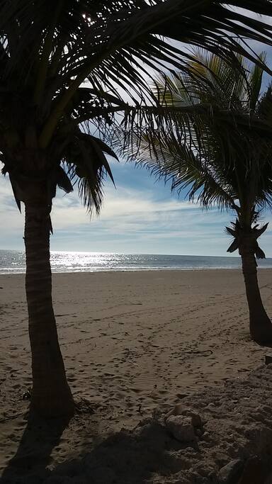 The Beach
