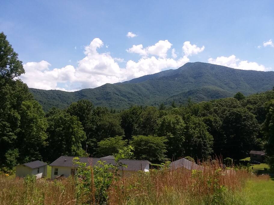 View from lookout bench