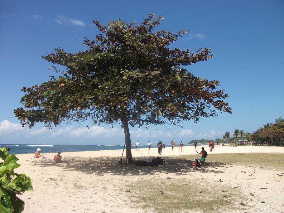 Plage de sable blanc