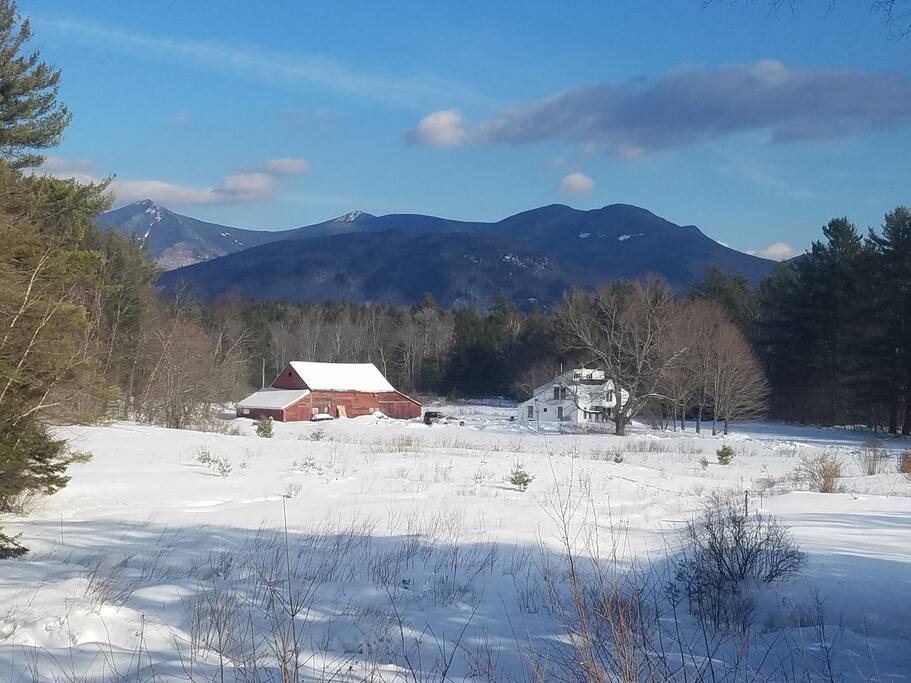 Winter view
