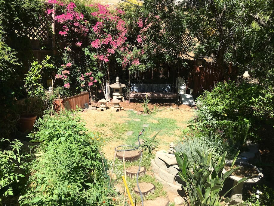 Medicinal tea garden and abundant tomatoes. Heart meditation garden :)
