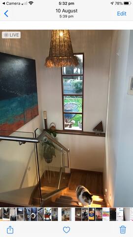 Torquay Tranquil Retreat… Generous 4 BR Home gallery image 3