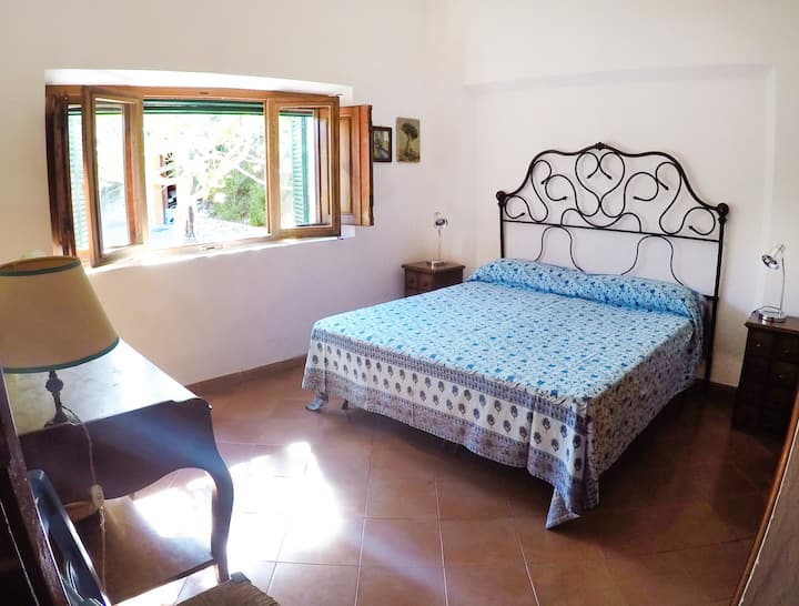 كاميرا فيردي