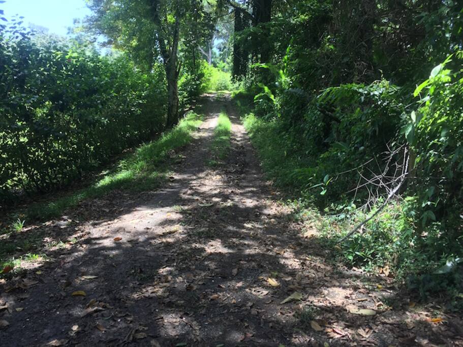 The Road to the Casa