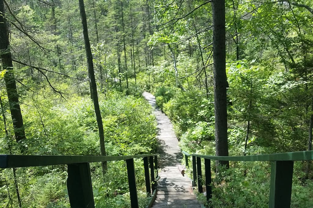 Walkway to Blueberry boardwalk and docks.