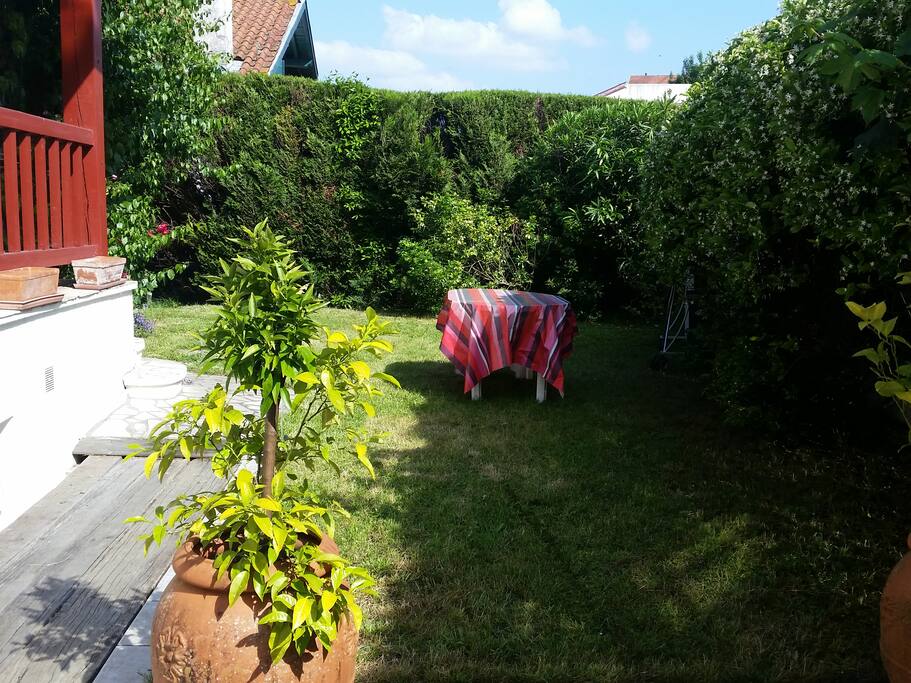 Jardin