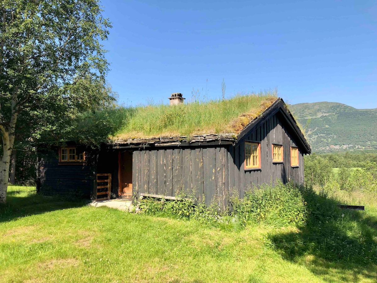 The exterior of a rustic cabin is presented, featuring dark wooden walls and a distinctive green grass roof. Surrounding vegetation includes well-maintained grass and a few trees, creating a natural setting. A pathway leads to the entrance, inviting exploration of the outdoors.