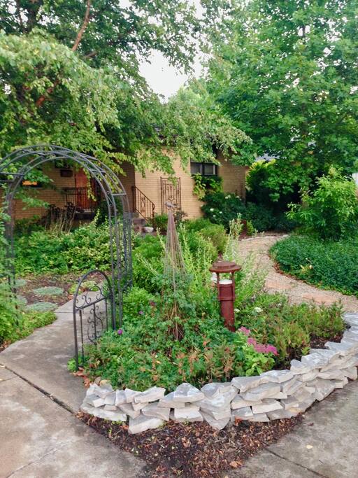 Front Yard