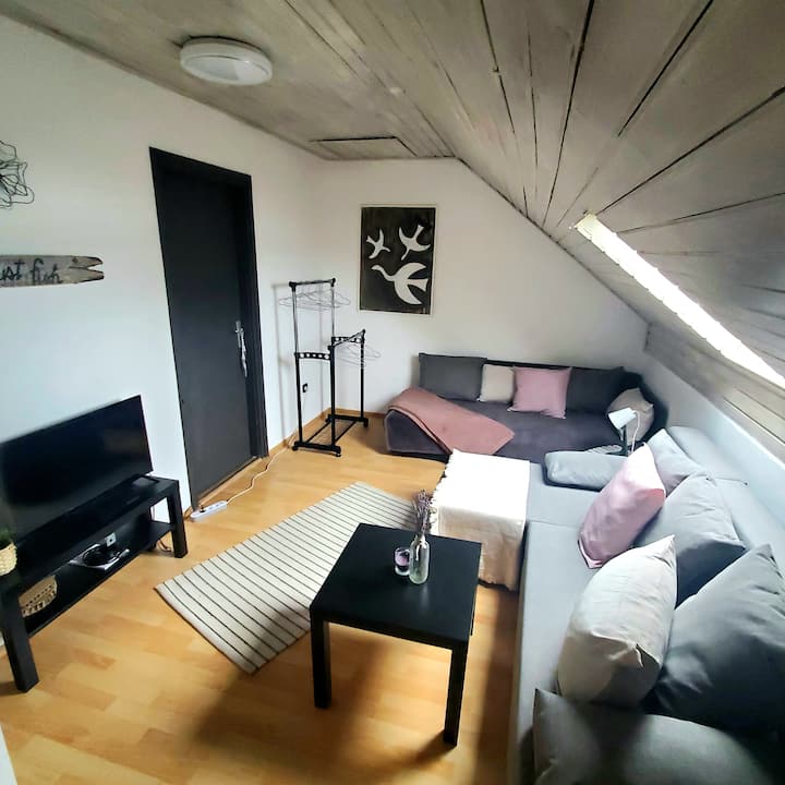 Duna House/duna Ház
Fishing-biking-boating-sunsets - Ráckeve