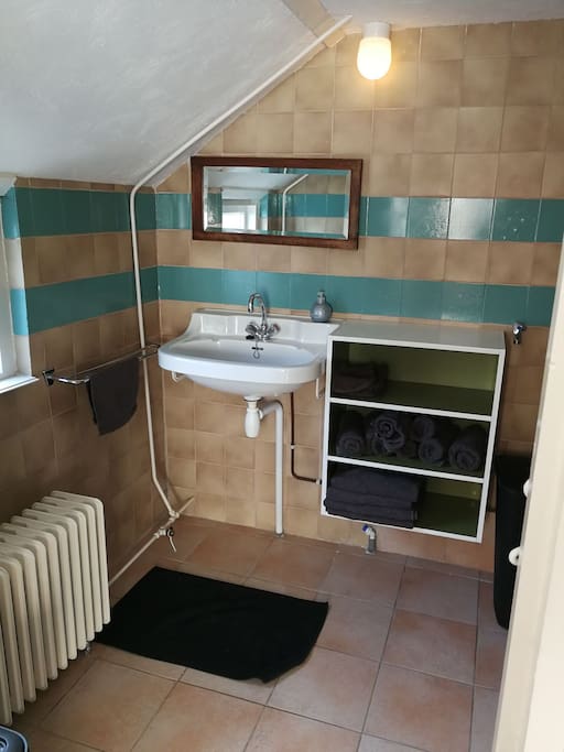 Badkamer met douche