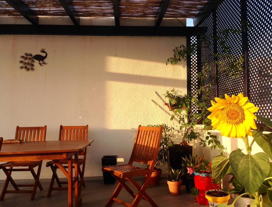 Terraza-azotea Comunitaria