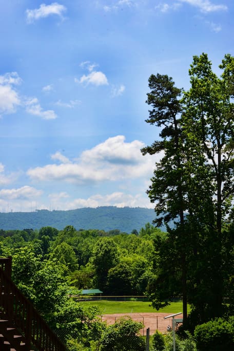 View from the Backyard
Carter's Mountain and Azalea Park