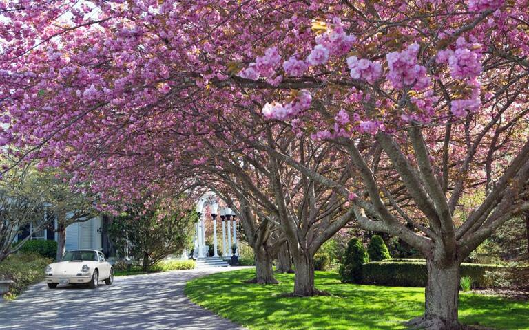 Villa 120 – The Historic Hamilton Hoppin Estate gallery image 3