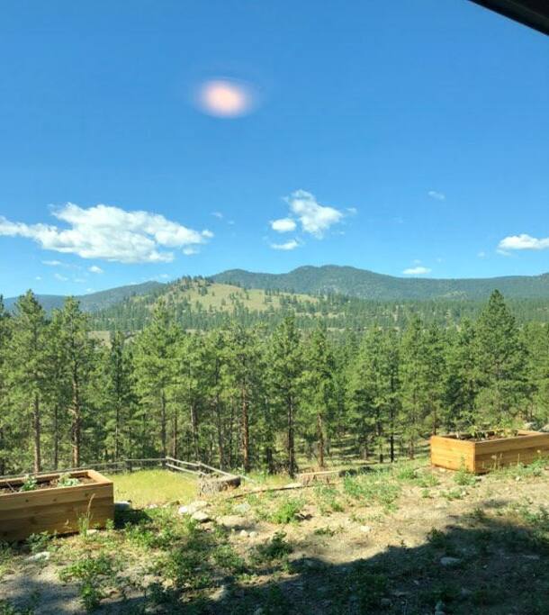 View from the Walkout Ranch Suite