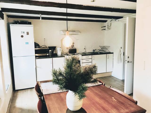 Hyggelig kælderlejlighed