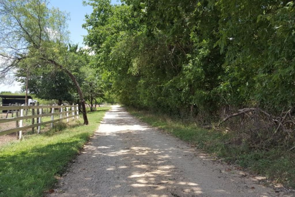 See the fence in the trees? That is Austin City Limits. We (on the left) are outside the city and the park (on the right) is inside the city limits.