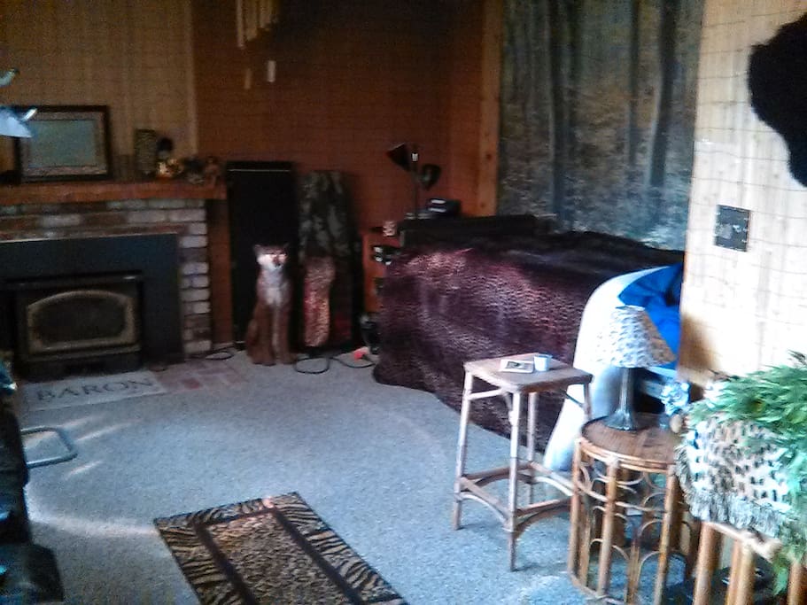 Den room.