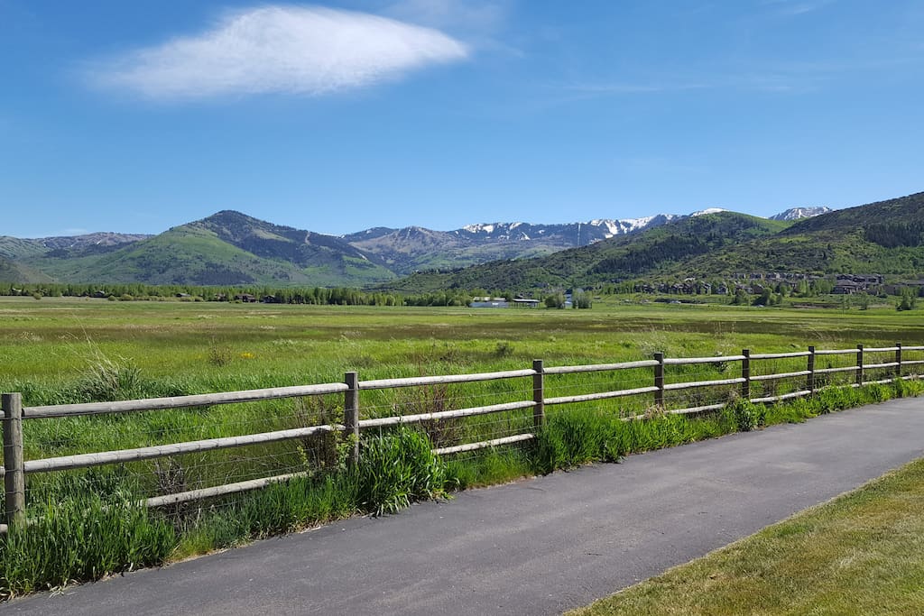 Summer Trail