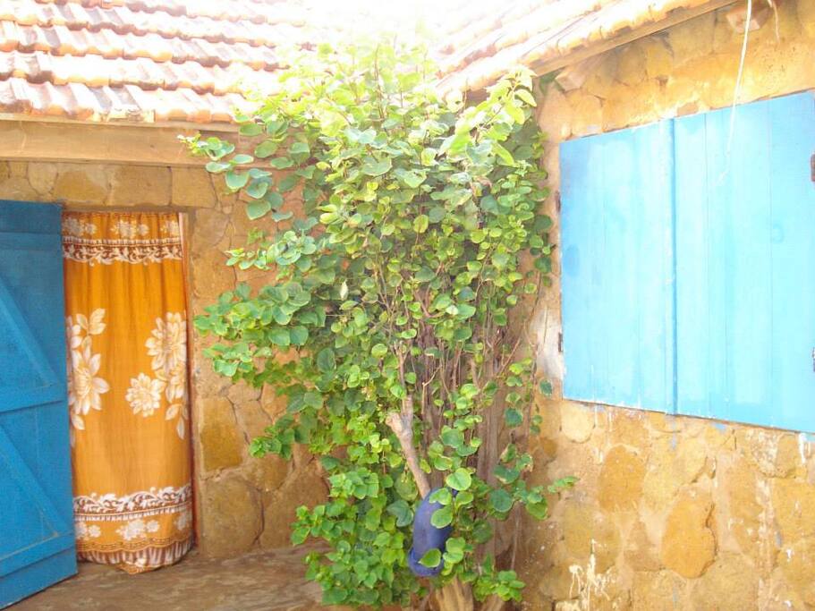La porta che affaccia nella corte interna
