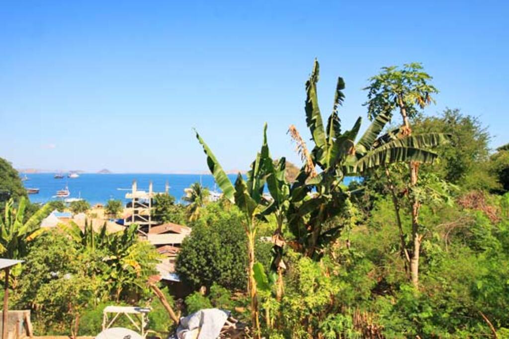 view from the veranda