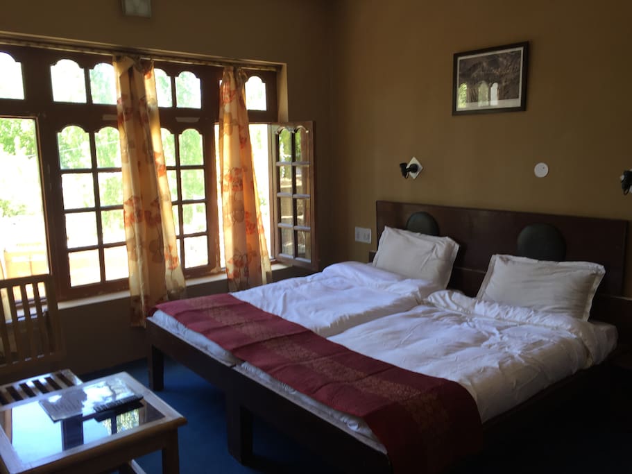 Deluxe double room with view of the mountain!