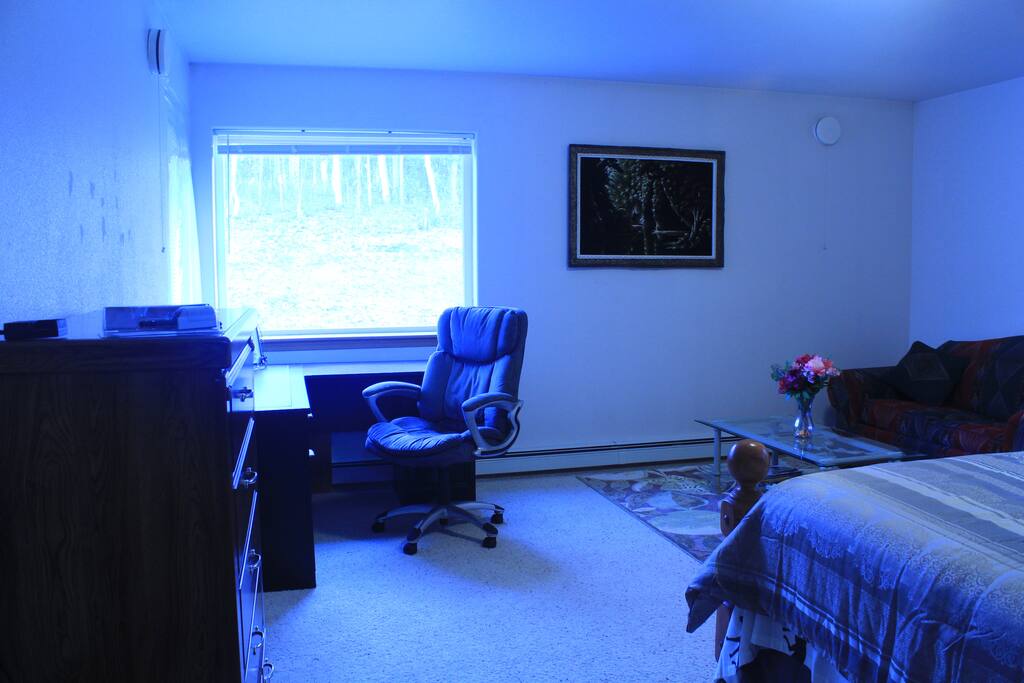 Room view.