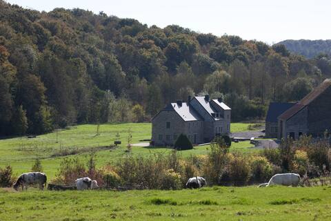 Moulin de Vaulx- 18 pers - Maredsous Region