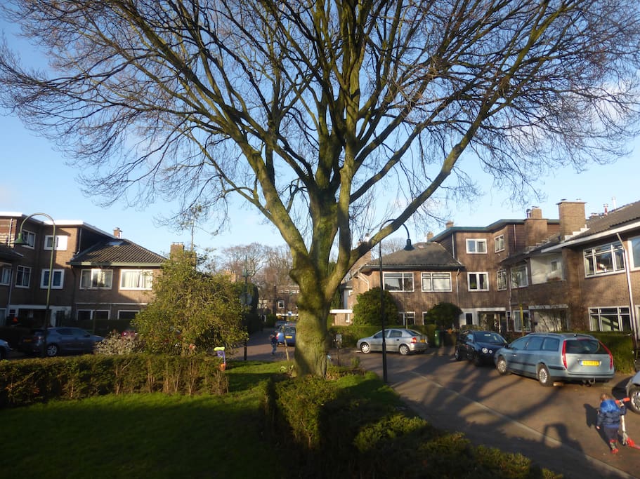 Square in front of the house: kids can play here.