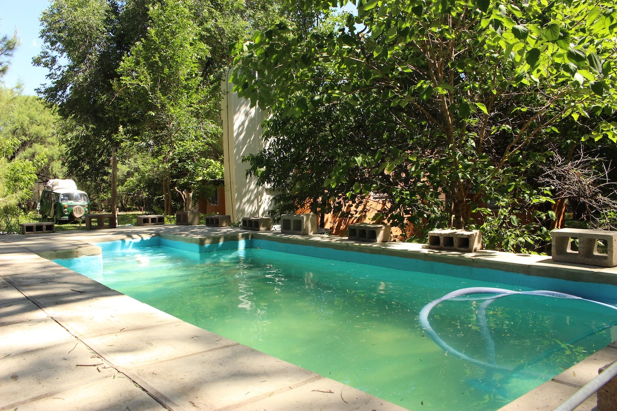 A tranquil swimming pool is surrounded by lush green trees and natural vegetation. The clear water reflects the sunlight, while a light blue pool cleaner floats gently on the surface. Concrete borders frame the pool area, contributing to an inviting outdoor space.
