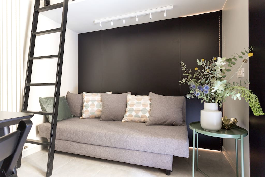 The sofa bed (x1 pax)