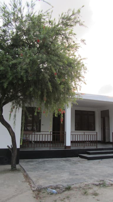 view from outside