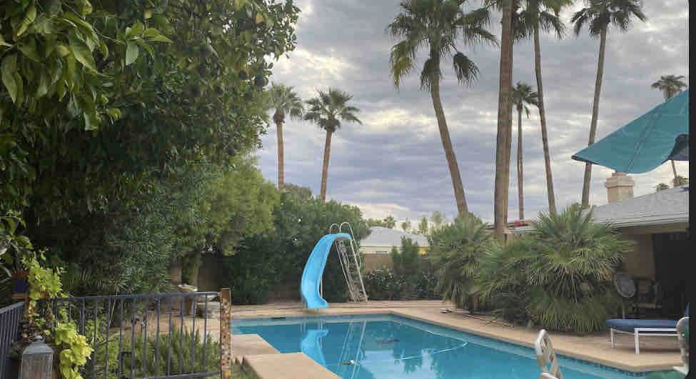 A serene backyard features a pool surrounded by palm trees and lush greenery. A blue slide is positioned beside the pool, inviting for fun. Comfortable seating areas are placed under shaded canopies, creating a peaceful environment for relaxation.