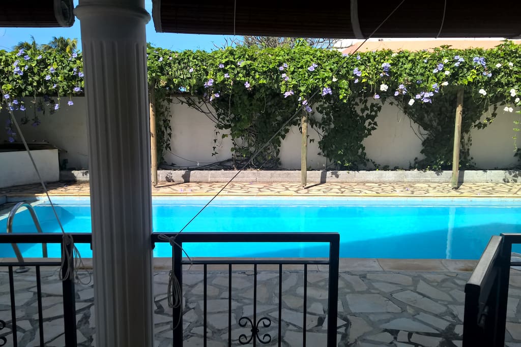 The verandah opening to the pool at the rear