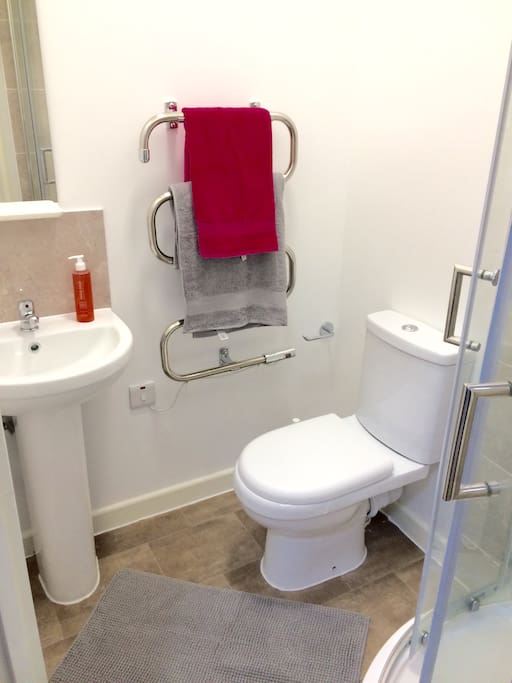 Ensuite with sink toilet and shower