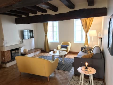 Large charming old Chinon apartment 11 pers.