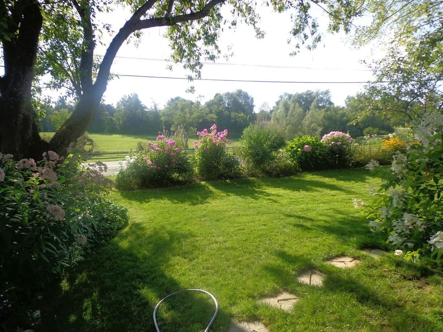 FRONT YARD OVER LOOK PASTURE