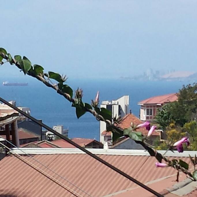Vista desde el segundo pisdo de la casa