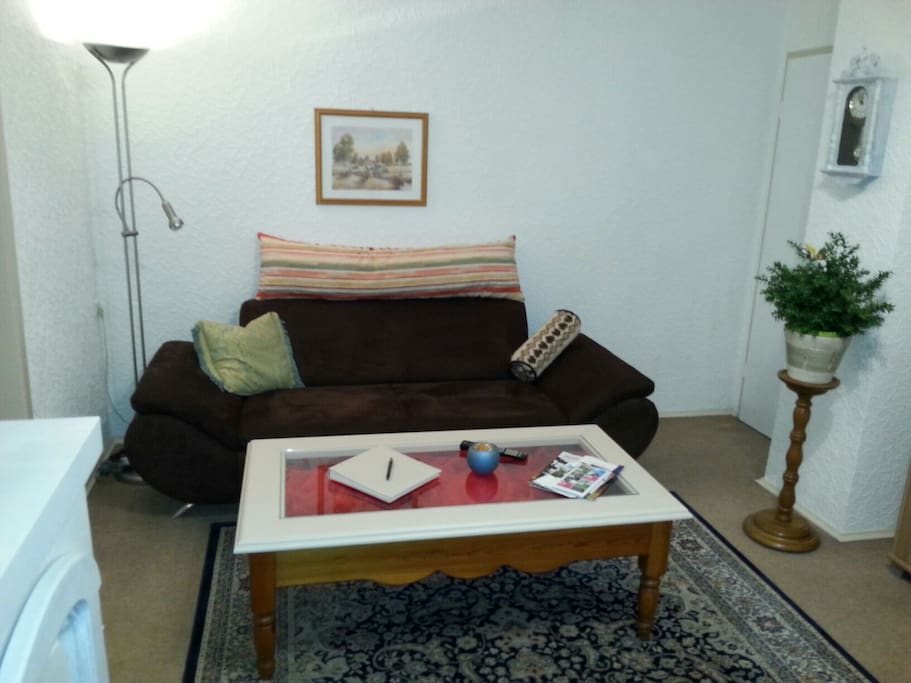 Wohnzimmer mit Schlafgelegenheit