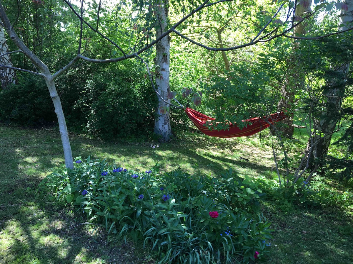 A vibrant garden scene features a red hammock suspended between trees, surrounded by lush greenery. Colorful flowers bloom along a garden bed, providing a natural contrast against the soft grass. Sunlight filters through the foliage, enriching the tranquil atmosphere of the space.