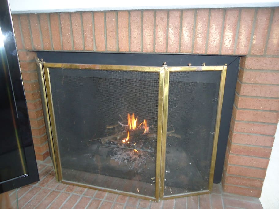 Wood Fireplace