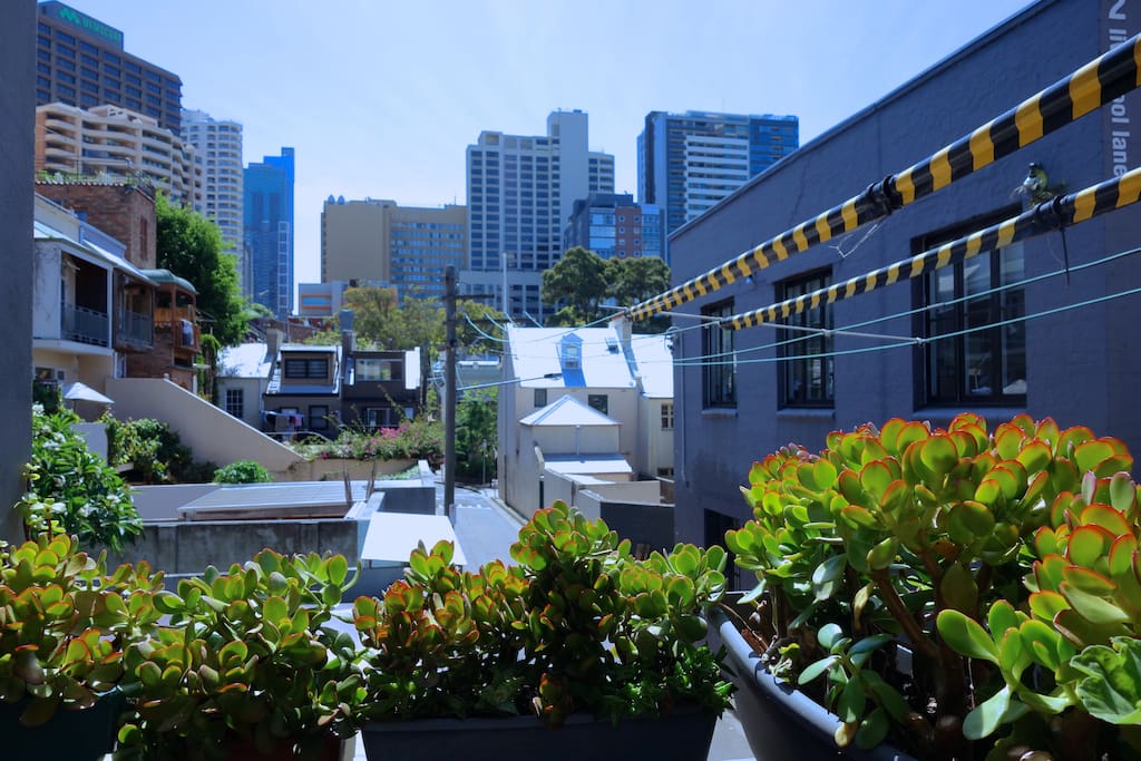 City Skyline