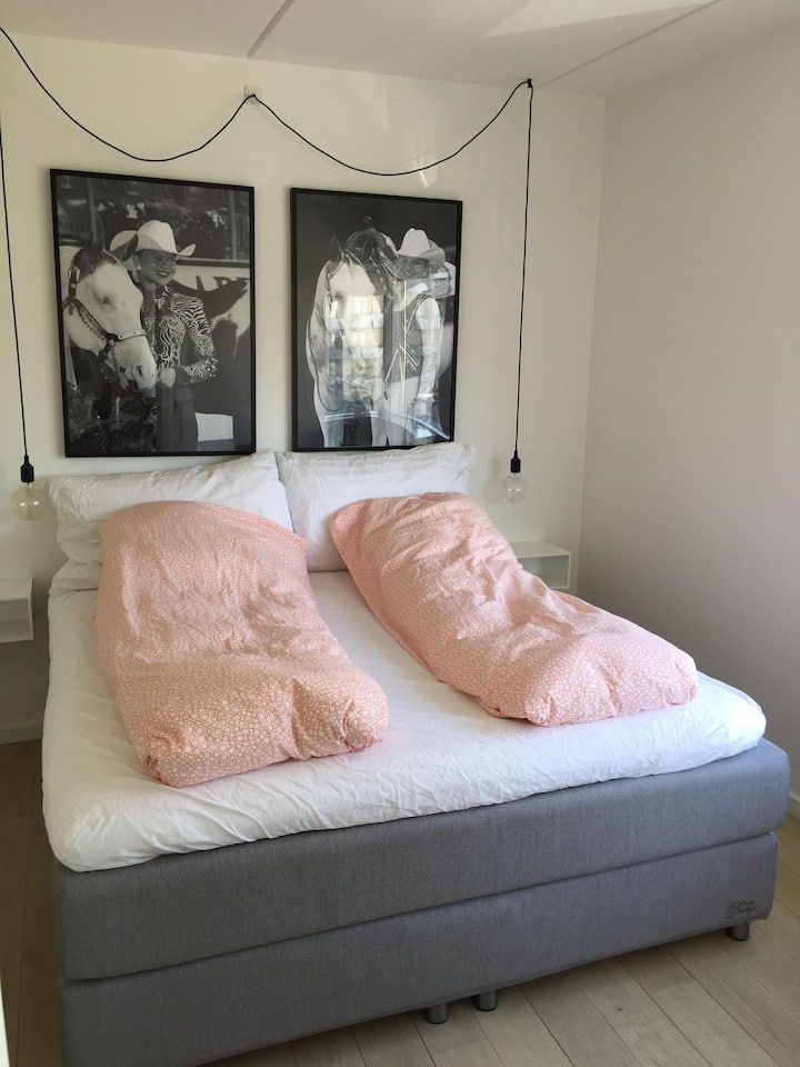 Habitación 2